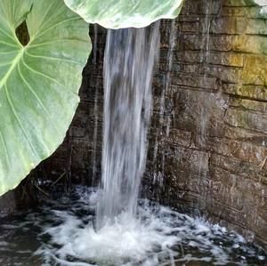 Meet your Posher, Misty